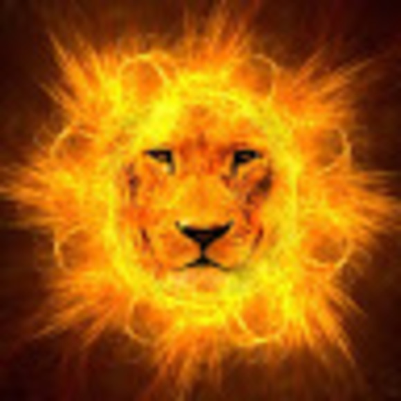 lionnthesun